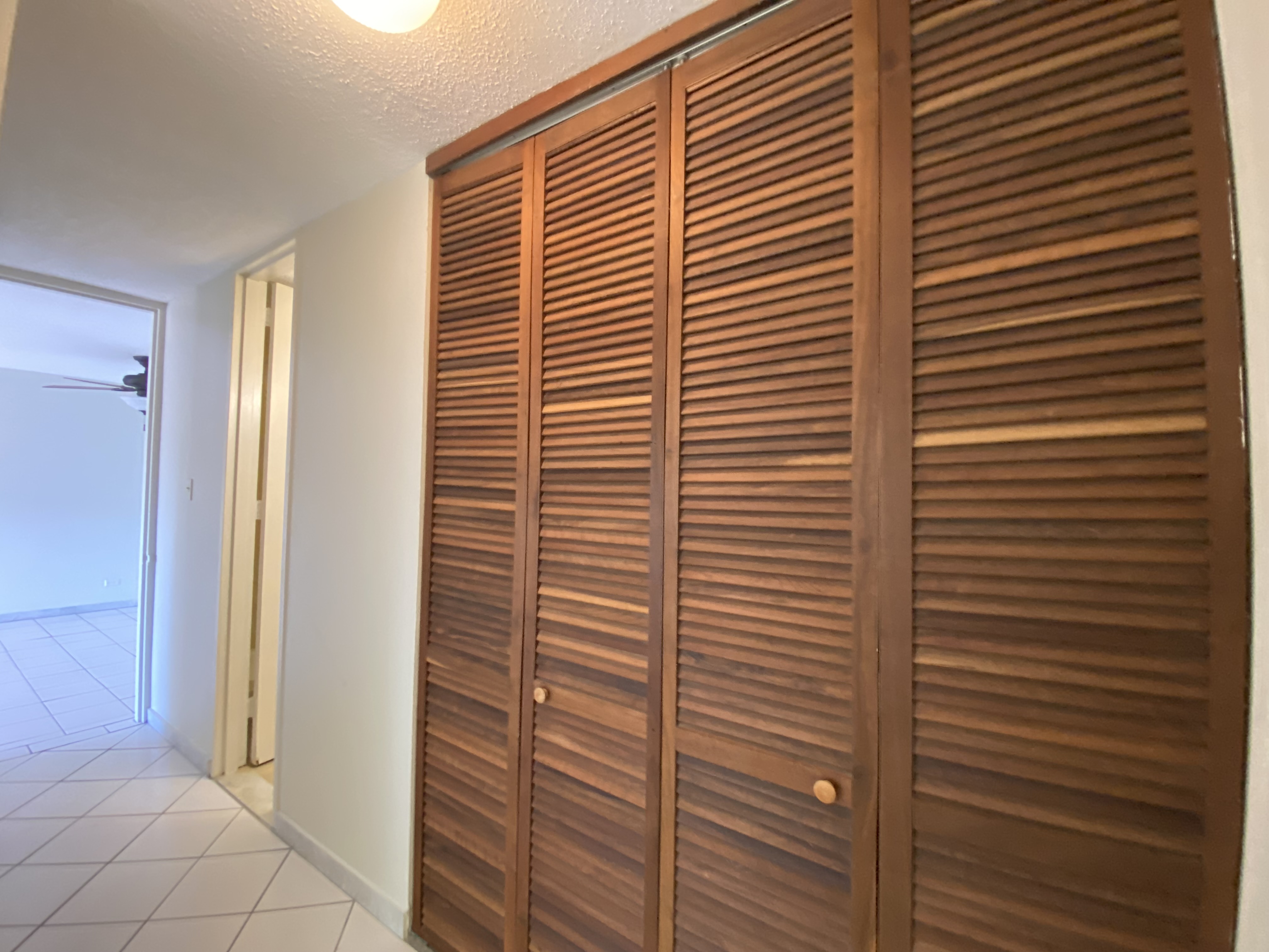 Hallway w/ closet & view through to dining room