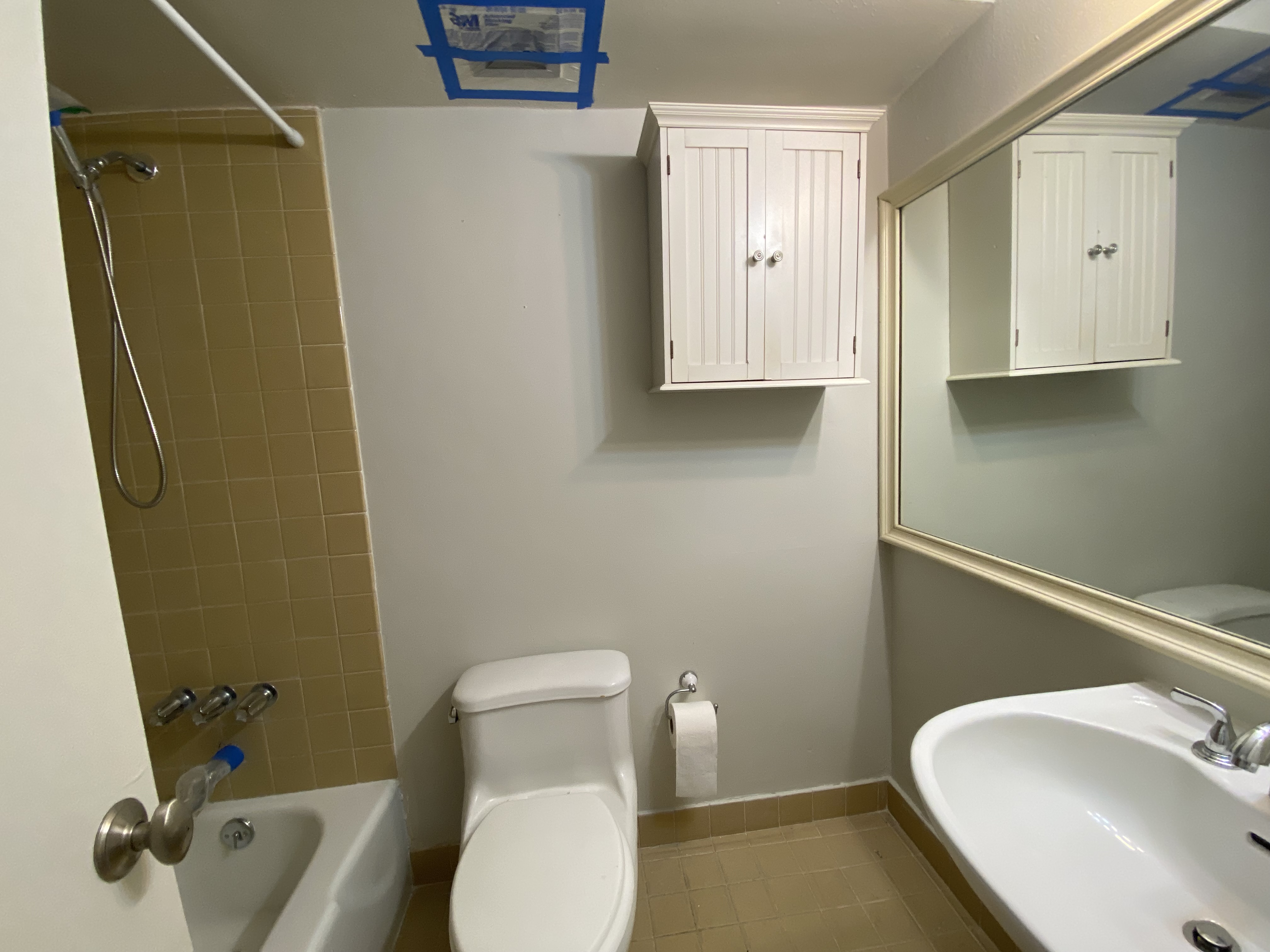 Hallway bathroom