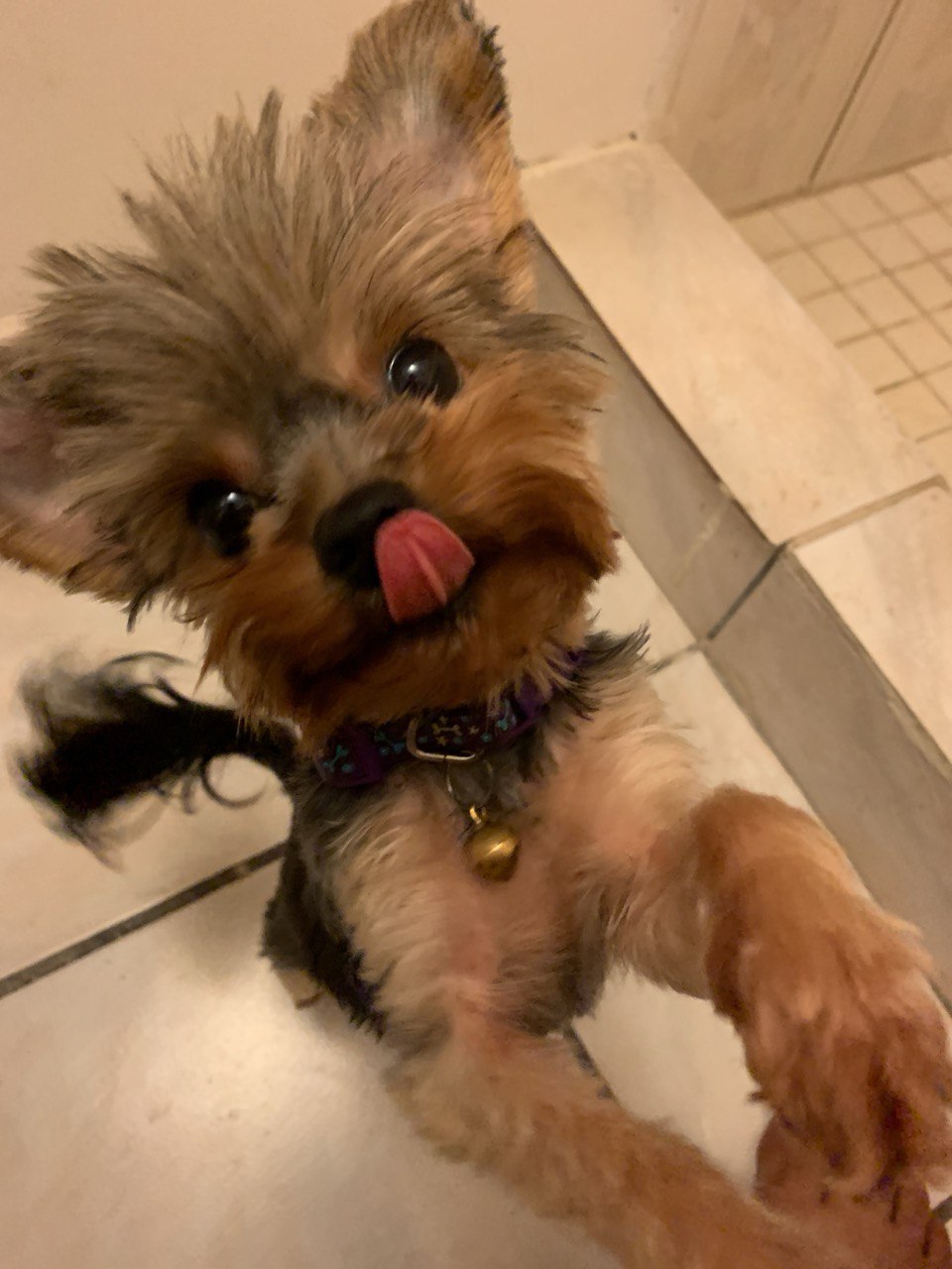 asdfas profile image