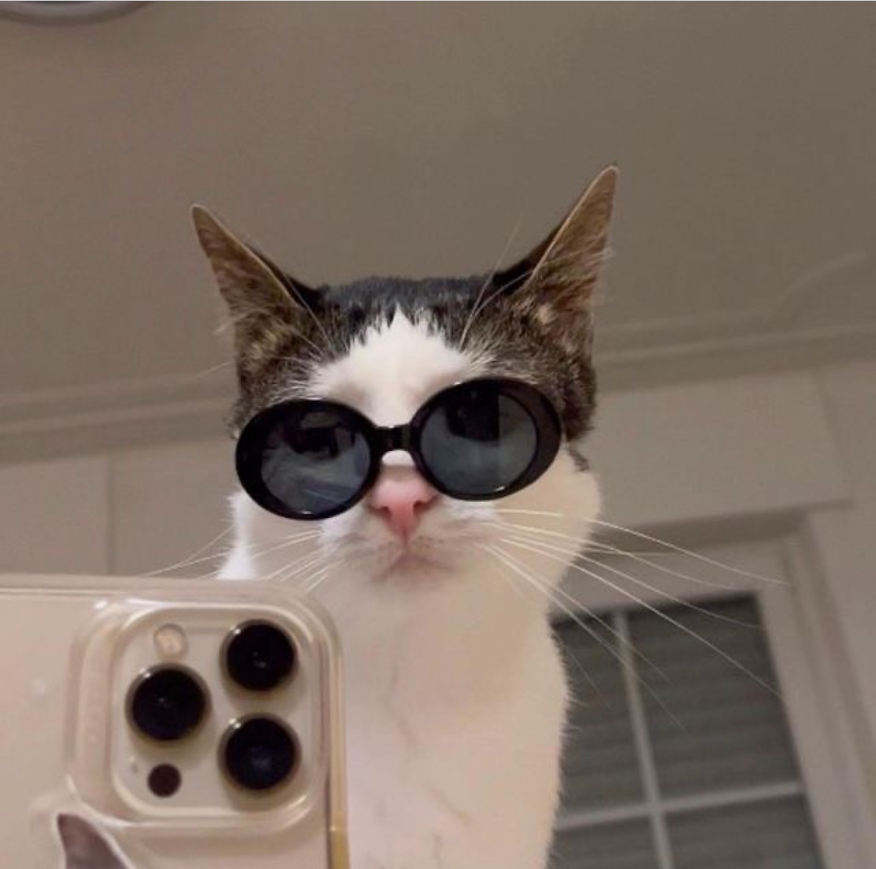 Trim City profile image